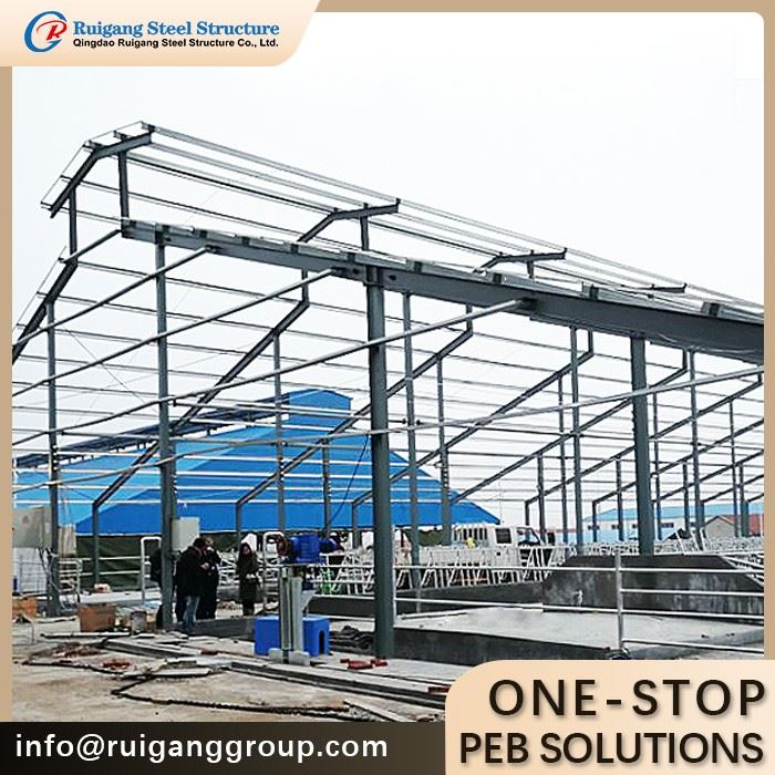 Steel Structure Cattle House made in China